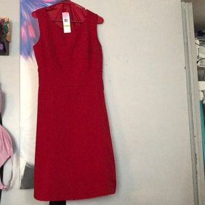 Black label  size 14 color red never worn